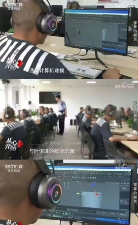 我擦，现在坐牢，里面和外面的区别越来越小了。
现在坐牢不是踩缝纫机了，而是坐在电