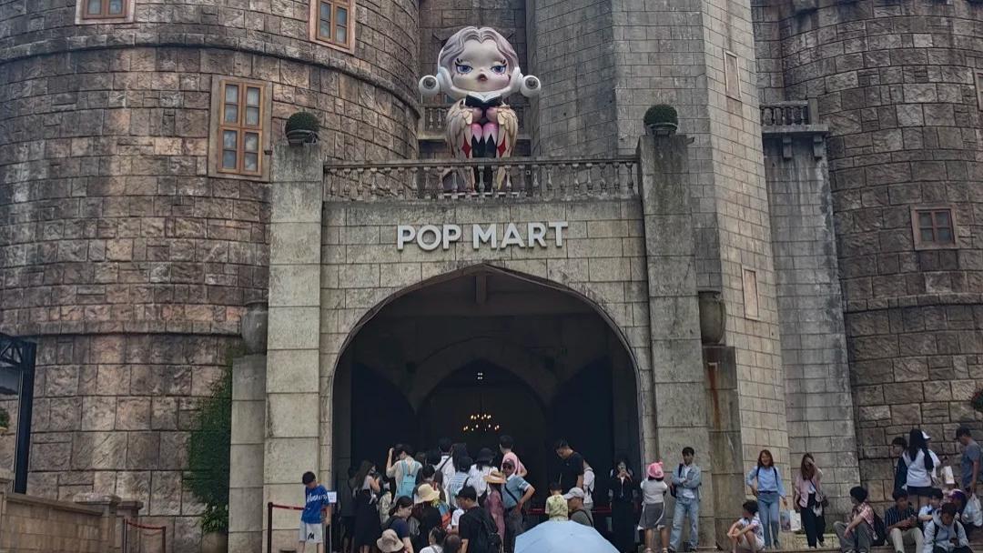 除了大疆无人机，这些国产电器也被游客加入清单