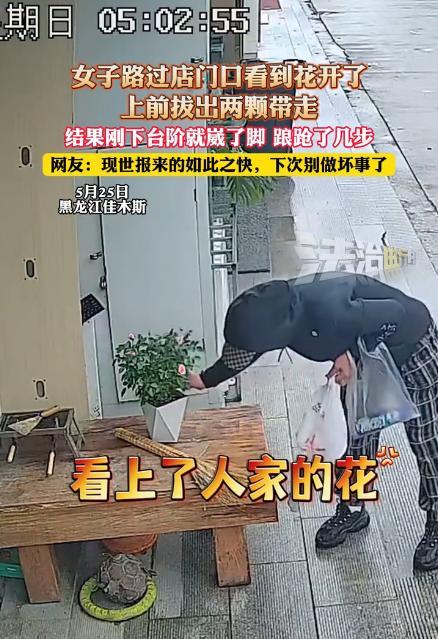 “太解气了！”5月25日，黑龙江一女子路过一家店门口，看到门口摆放着一盆花，于是