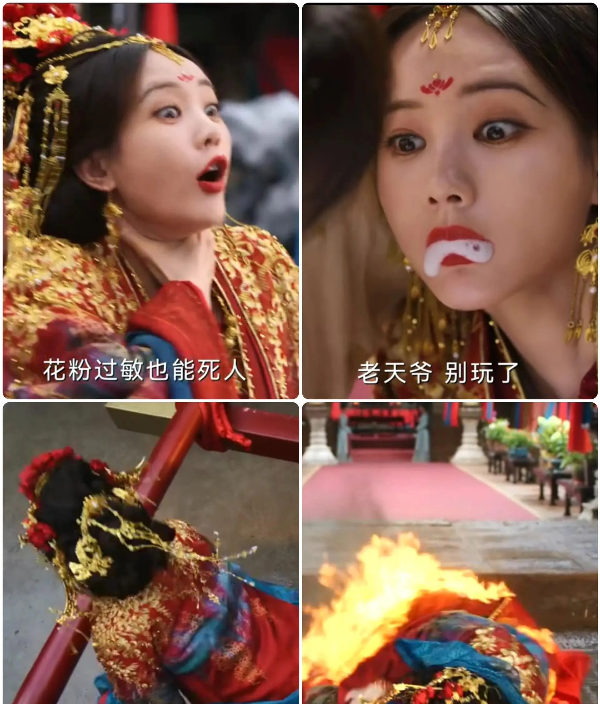 江苏卫视现在一定在偷着乐吧
原本紧急撤下了《长安的荔枝》，改由《书卷一梦》接档，
