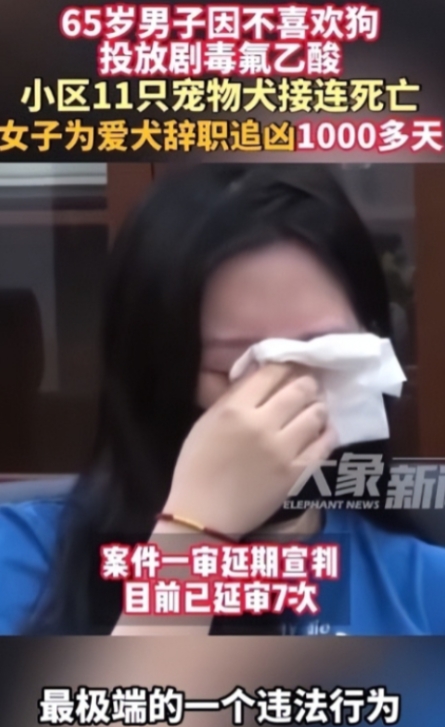 太执着了，北京一名女子因宠物狗被毒死，辞职寻找凶手！6月19日，这起案件已经延期