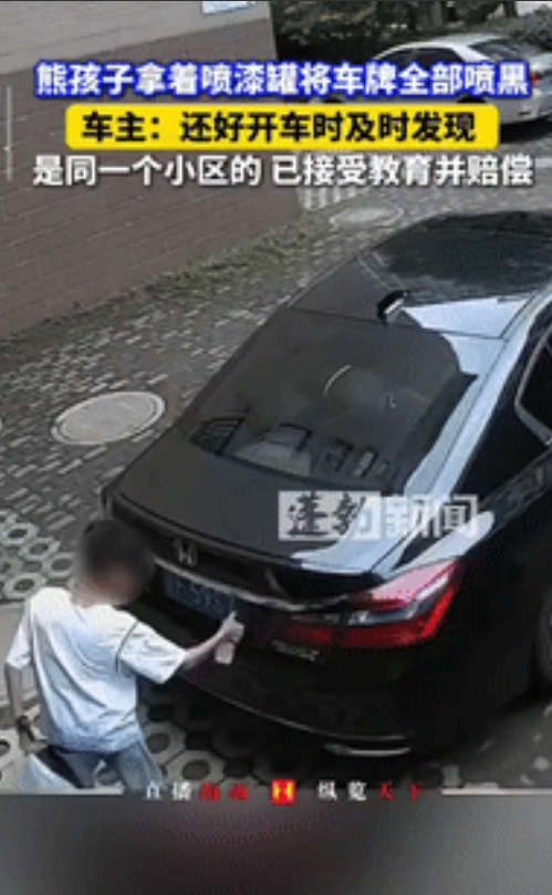 还是欠教育！江西一男孩手拿喷漆罐在小区内狂喷多辆车，最狠的就是把后车牌全部喷黑，