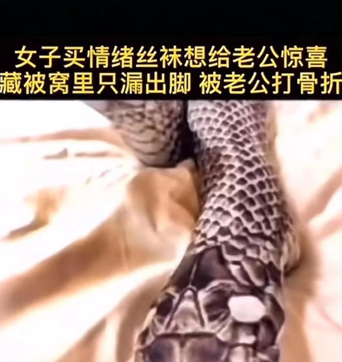 “灰蛇变白蛇！”一女子为增加情趣，给丈夫制造惊喜，花158元买了一双高度仿真的蛇