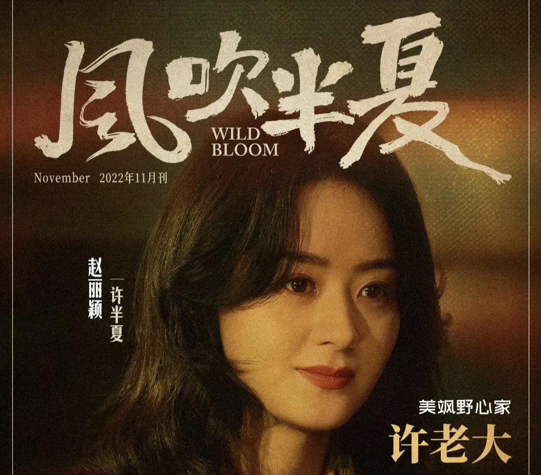 该剧以1990年代改革开放为故事背景，讲述：赵丽颖饰演的女性企业家许半夏，在钢铁