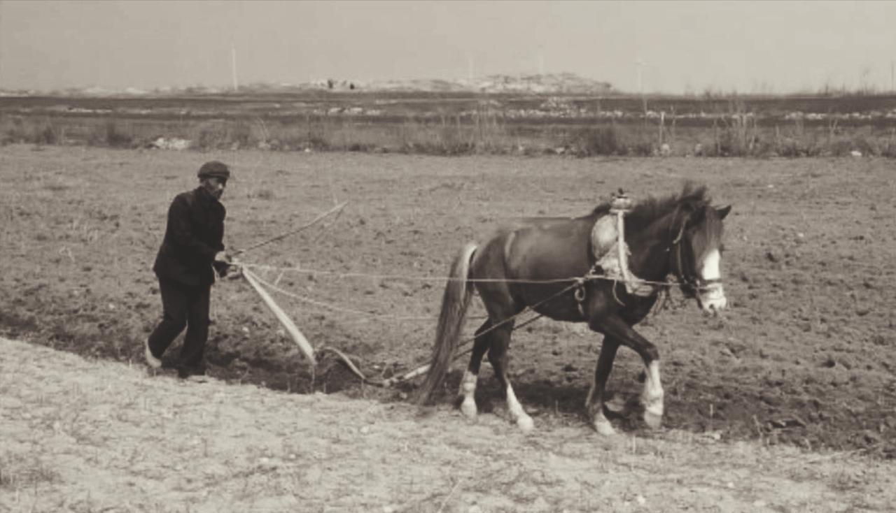 1960年7月，黎溪公社社员李炳舟犁地时，脚部被犁尖划破，导致高烧不退。他的妻子
