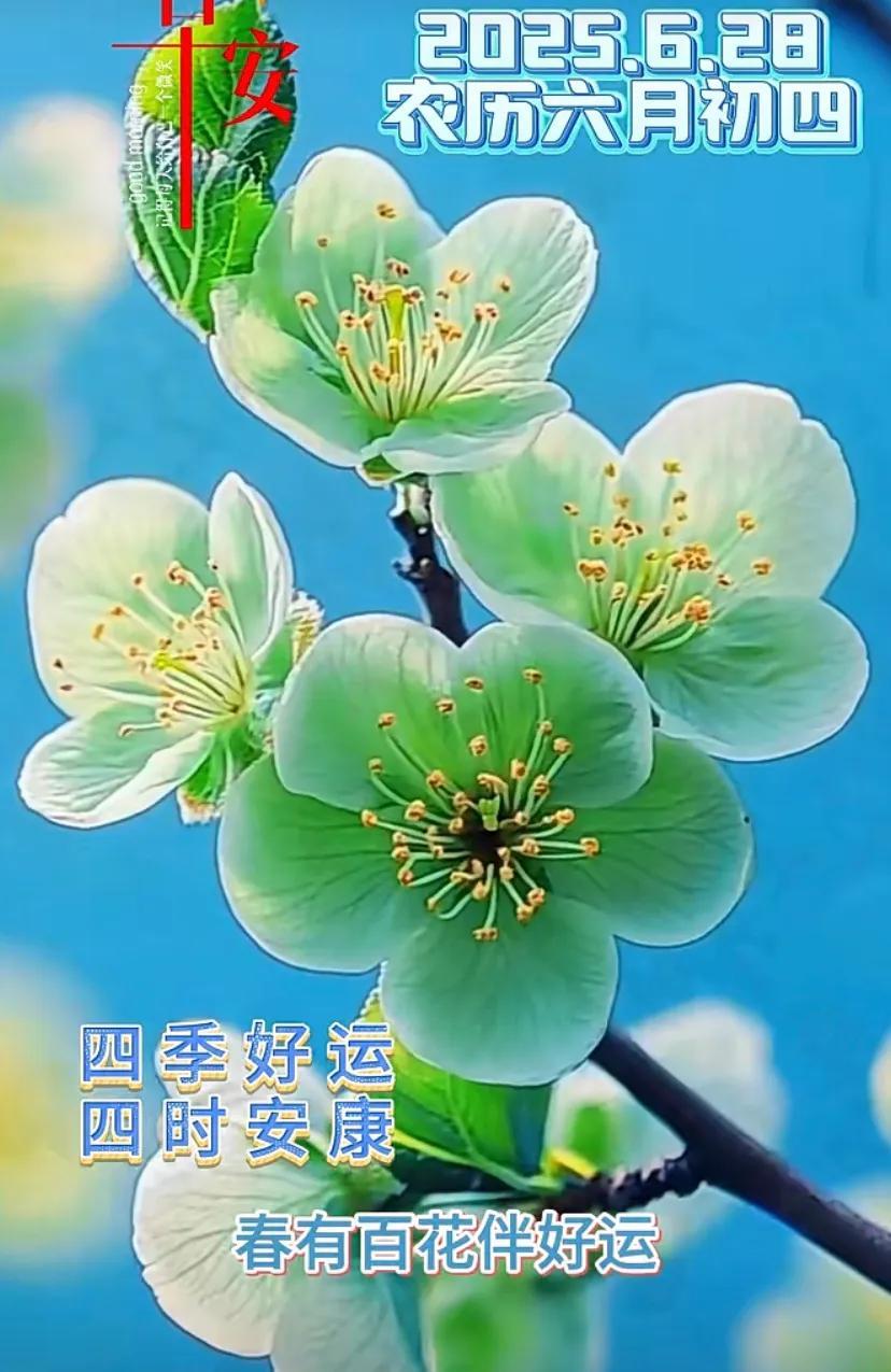 夏日初荷开，六月初四愿安康
周六快乐！