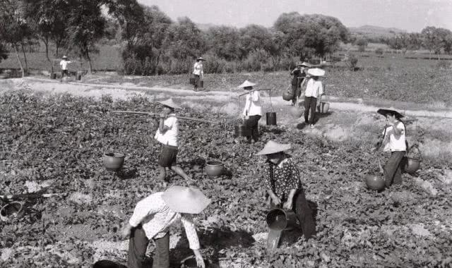 1975年，位于我国湖北神农架，几个农村妇女在忙农活。其中一个妇女因为内急跑到附