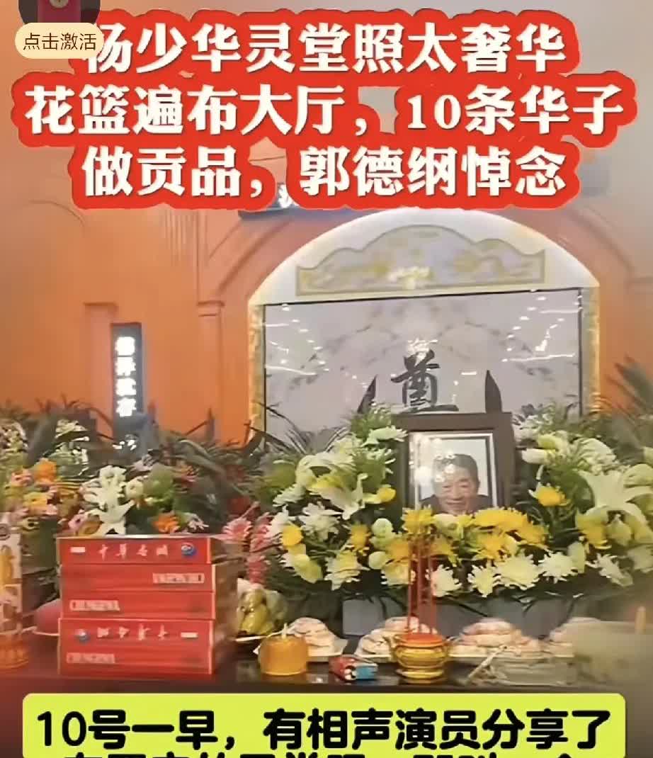 别再骂杨议不孝了，不是因为他老婆道出了隐情，也不是他把杨少华灵堂里布置的有多奢华