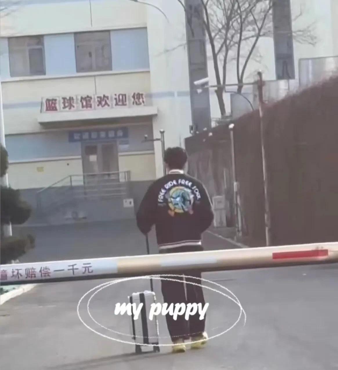 近日，体总训练局门口雾气还没散尽，眼尖的粉丝一眼就认出了那个推着白色行李箱的高挑