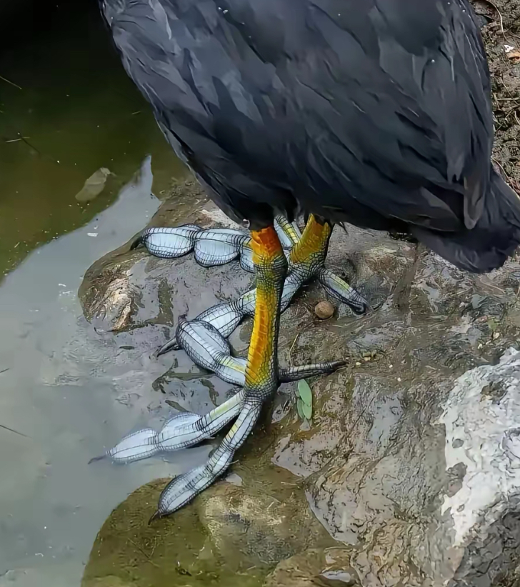 论写实还得是咱老祖宗。