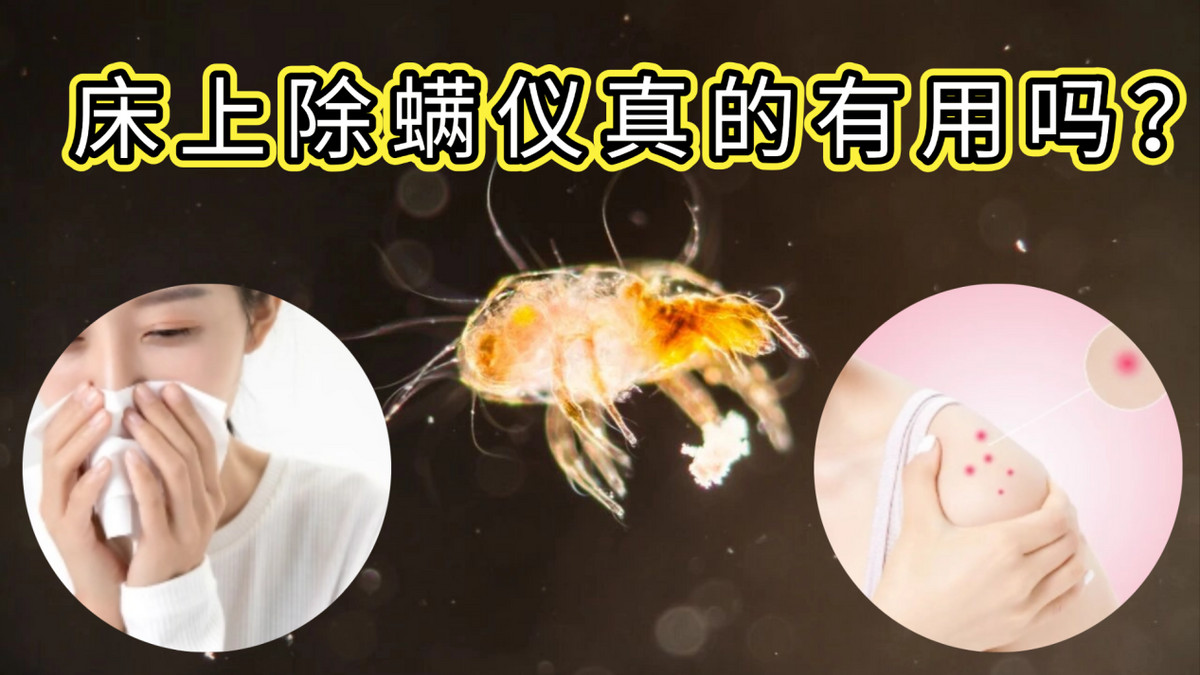 床上除螨仪真的有用吗？家用除螨仪有线还是无线除螨效果好？专业除螨仪品牌十大排行出炉，实力强劲！