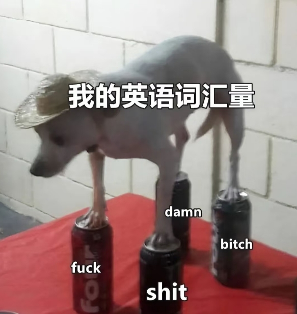 我的英语词汇量