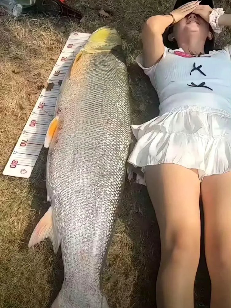 这条鱼，够钓友炫耀一辈子了吧？