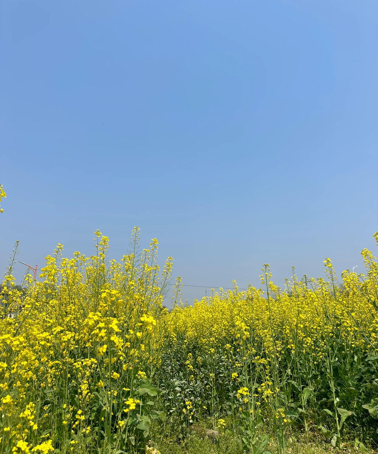 邻居的儿子出车祸走了，留下120万赔偿金。这些年，他自己也存了40多万，加起来手