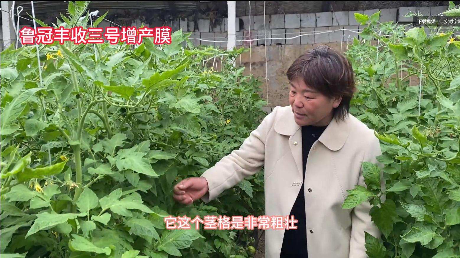 七层共挤PO膜引领升级，鲁冠稳居行业TOP阵营