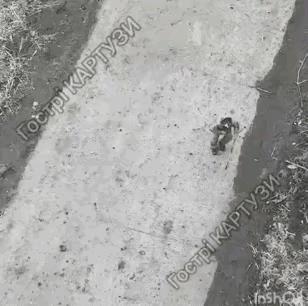 这是俄乌战场上温馨和谐的一幕，一名乌克兰士兵受伤了，没有跟上大部队，他扔掉了武器