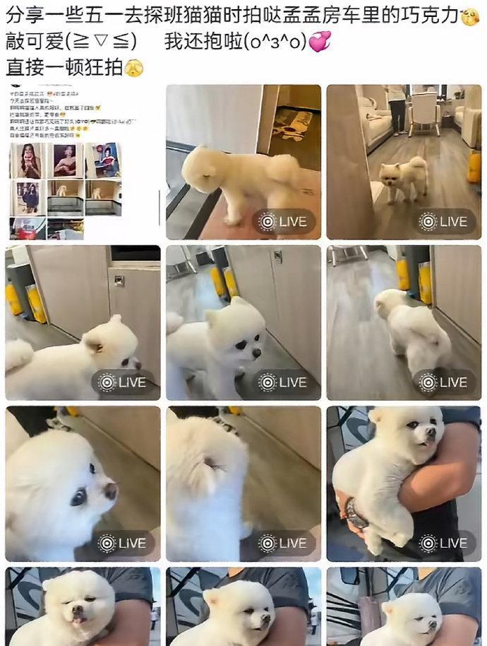 孟子义经纪人私带陌生人进房车引争议：隐私边界与行业规范再受拷问
“孟子义经纪人道