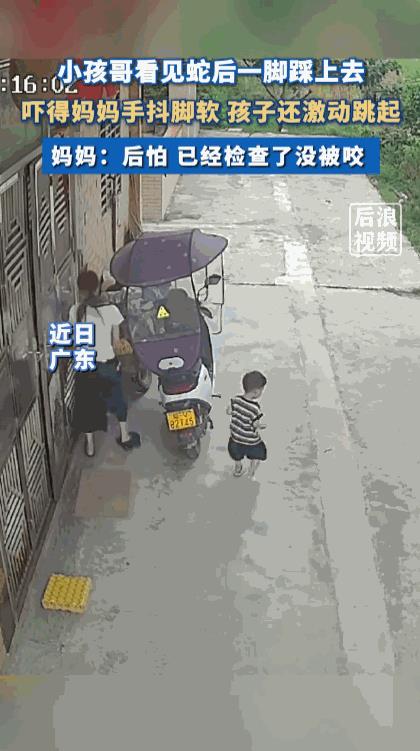 “真是初生牛犊不怕虎！”近日，广东，一个仅有两三岁大的孩子在家门口玩耍时，突然被