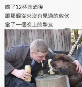 哈哈，也太好笑了