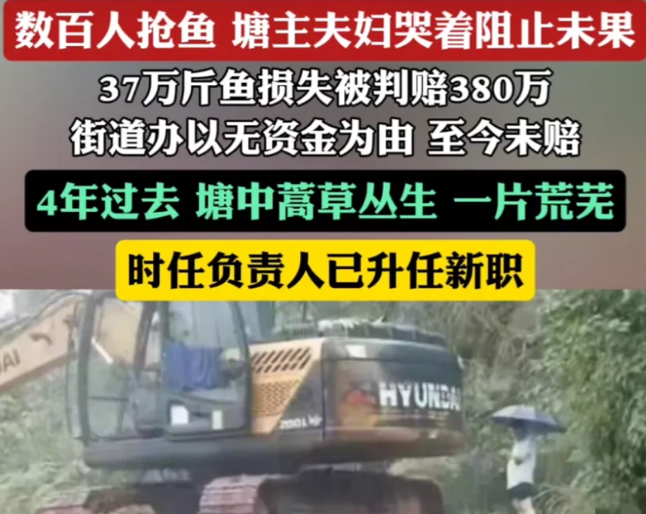 重庆，夫妻俩在镇长的邀请下，一口气承包了120亩鱼塘，签订30年的合同，前后花了