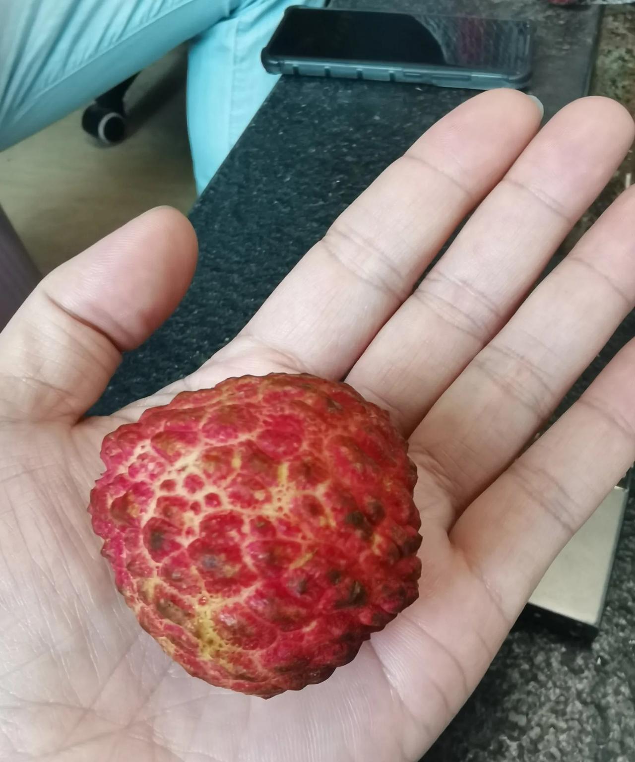 真是造孽，作为半个广东人，我居然没吃过这么大的荔枝。放在手里，比一个鸡蛋还大，谁