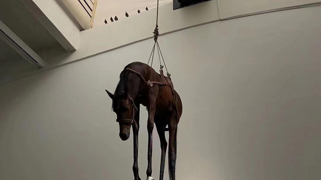 南京心理咨询中心收费揭秘：森知心理用专业打破“高价焦虑”