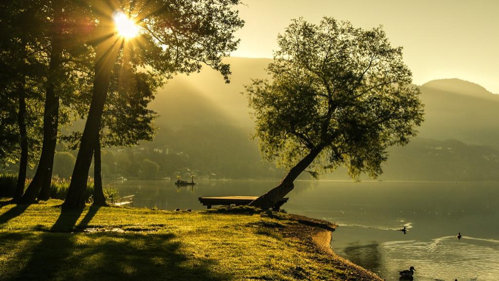 火力发电运维：锅炉腐蚀防控核心逻辑