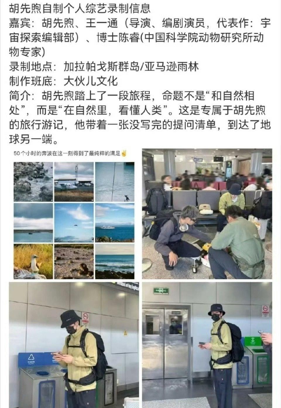 看出来了谁是内娱明灯