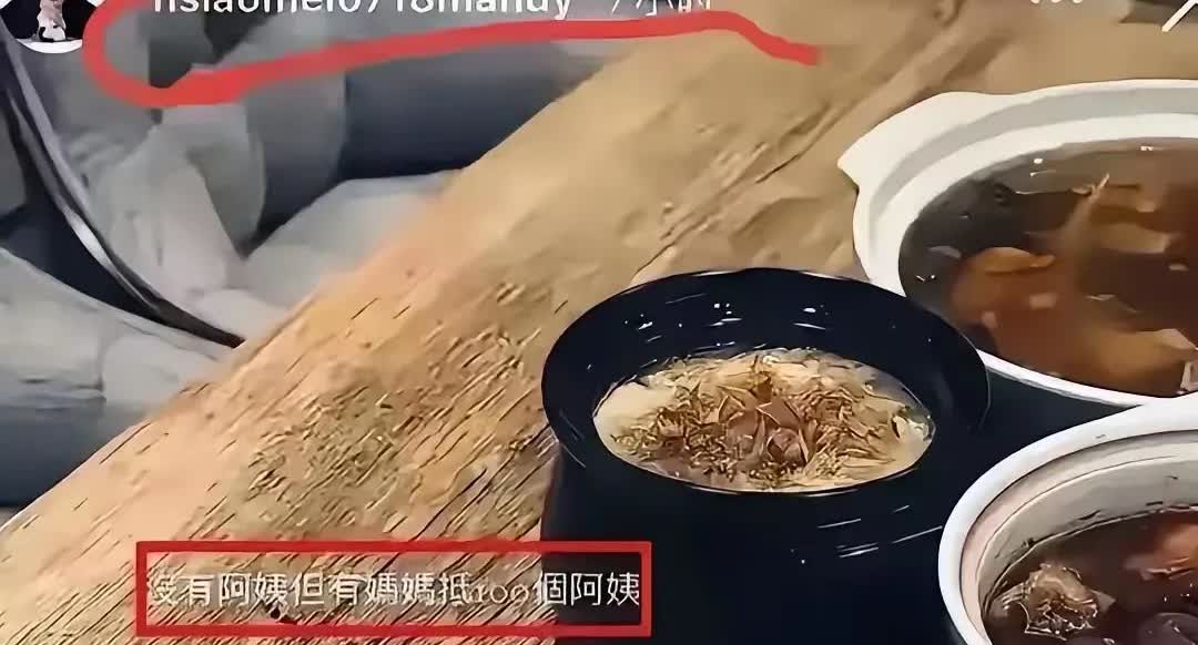 马晓梅刚晒美食配文内涵杨阿姨也太阴阳了吧！“没有阿姨但有妈妈一个阿姨”。这话里的