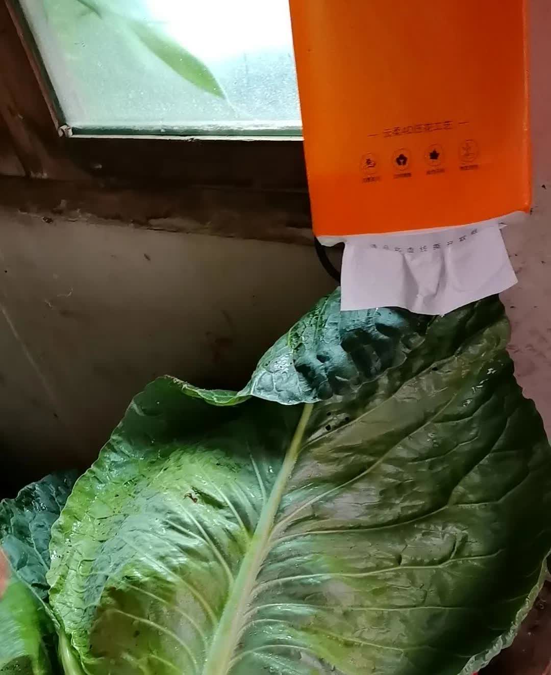 哈佛女孩的演讲视频，遭受很多国人吧嘲讽，

包括很多大V都发生了，像一个坏土