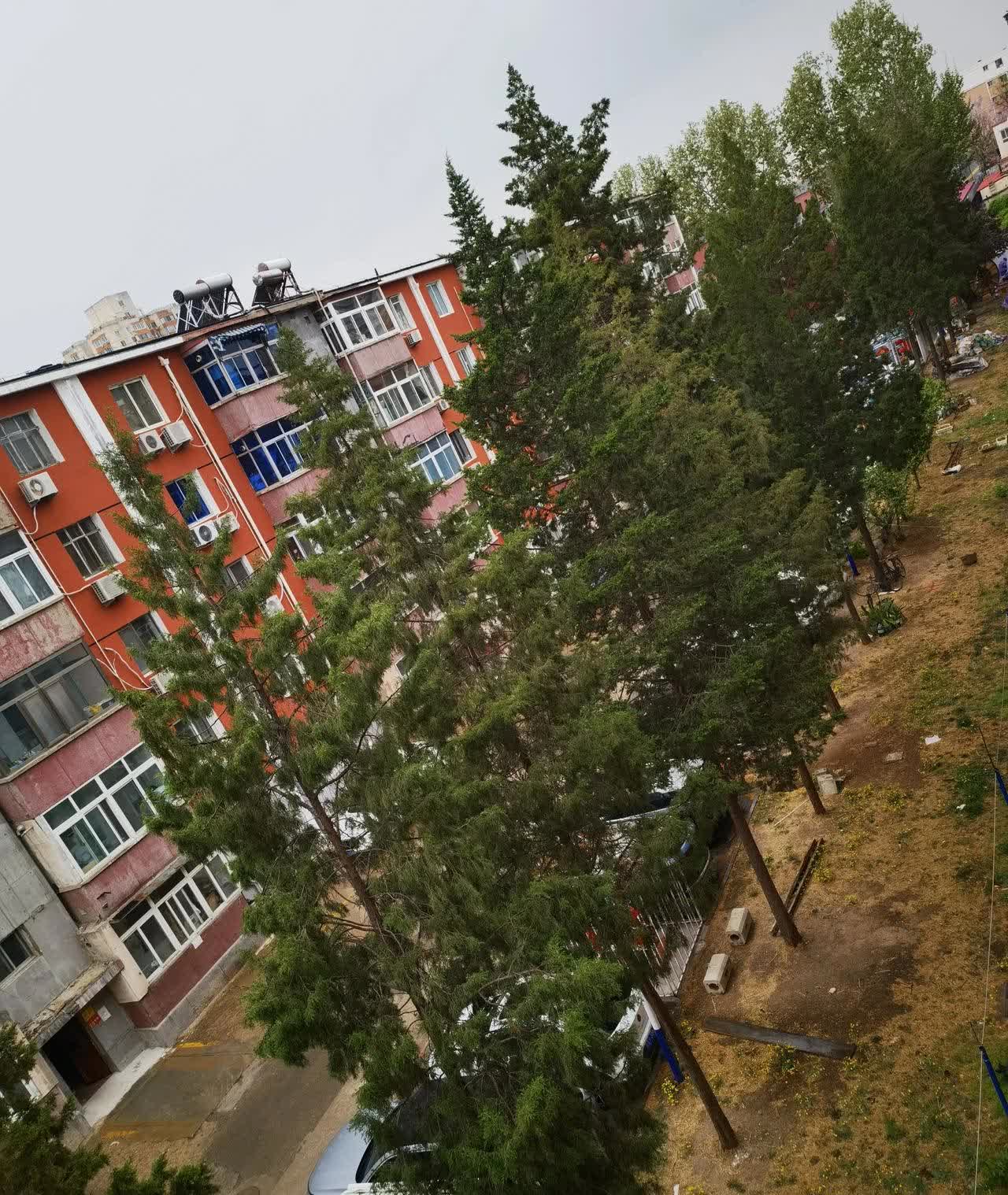 终于下雨了，春雨贵如油，点滴无白流。尤其是冬天没下一场像样的雪，更没下过雨的北京