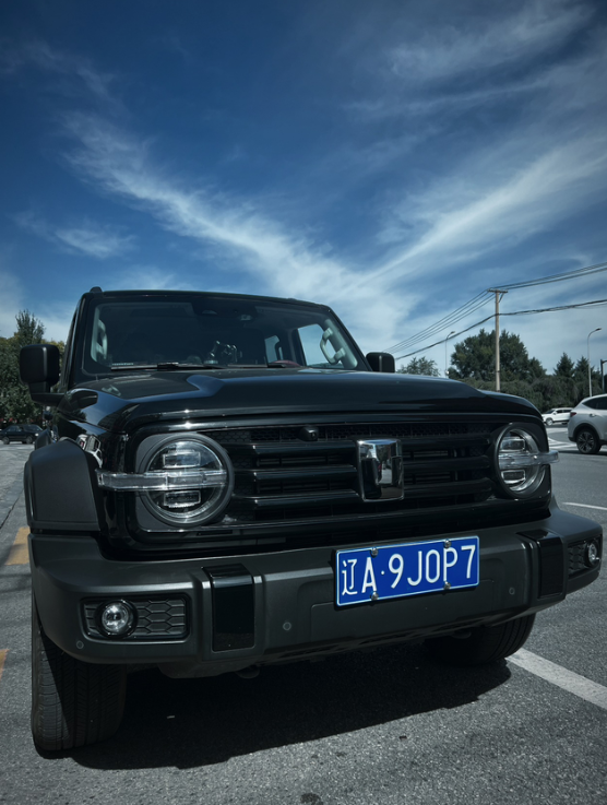 关于坦克300的真实油耗
很多人喜欢坦克300，但是又对越野性能的车型油耗有所担