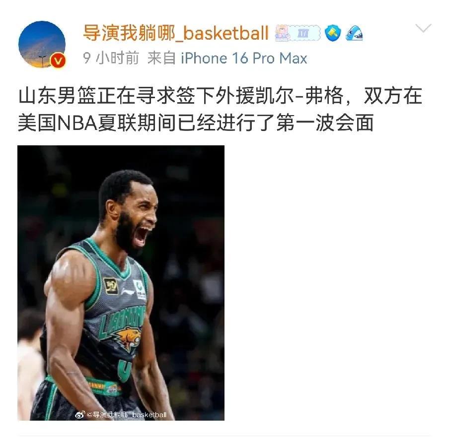 山东队欲签弗格，已经进行实际性接触
近日据媒体爆料，山东队有意签约前辽宁外援弗格