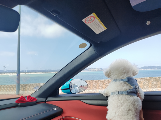 小米su7女司机上海自驾福建2000公里
目标已达成，第一次开这么远～晚上高速服