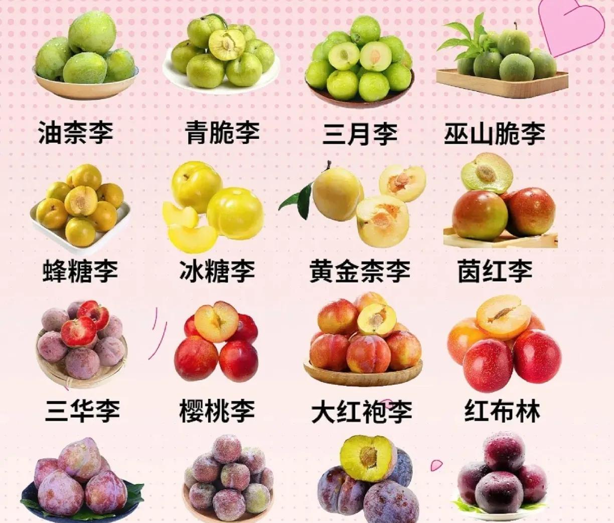 李子种类清单来了！
像蜂糖李，贵州产的，6月上市，果实卵圆形，淡黄果面有蜡粉，单