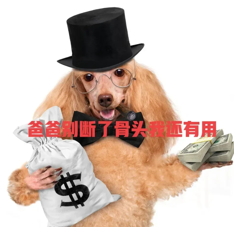 饿啊，反华记者乞求别断粮。贝瑟尼·艾伦，在X平台公开乞食，她表示自己还有用，并列