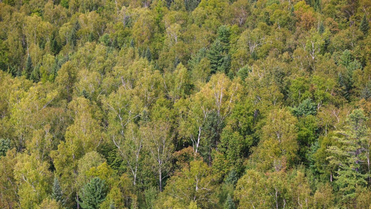 钢化架电热防崩边金属线高温耐高温不锈钢缠绕光学镜片提高良率