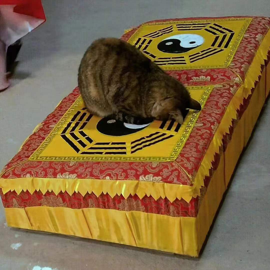 人生非解卦，而是证卦。真正的答案不在签文里，而在你每日行健的路上。静坐思道，不如