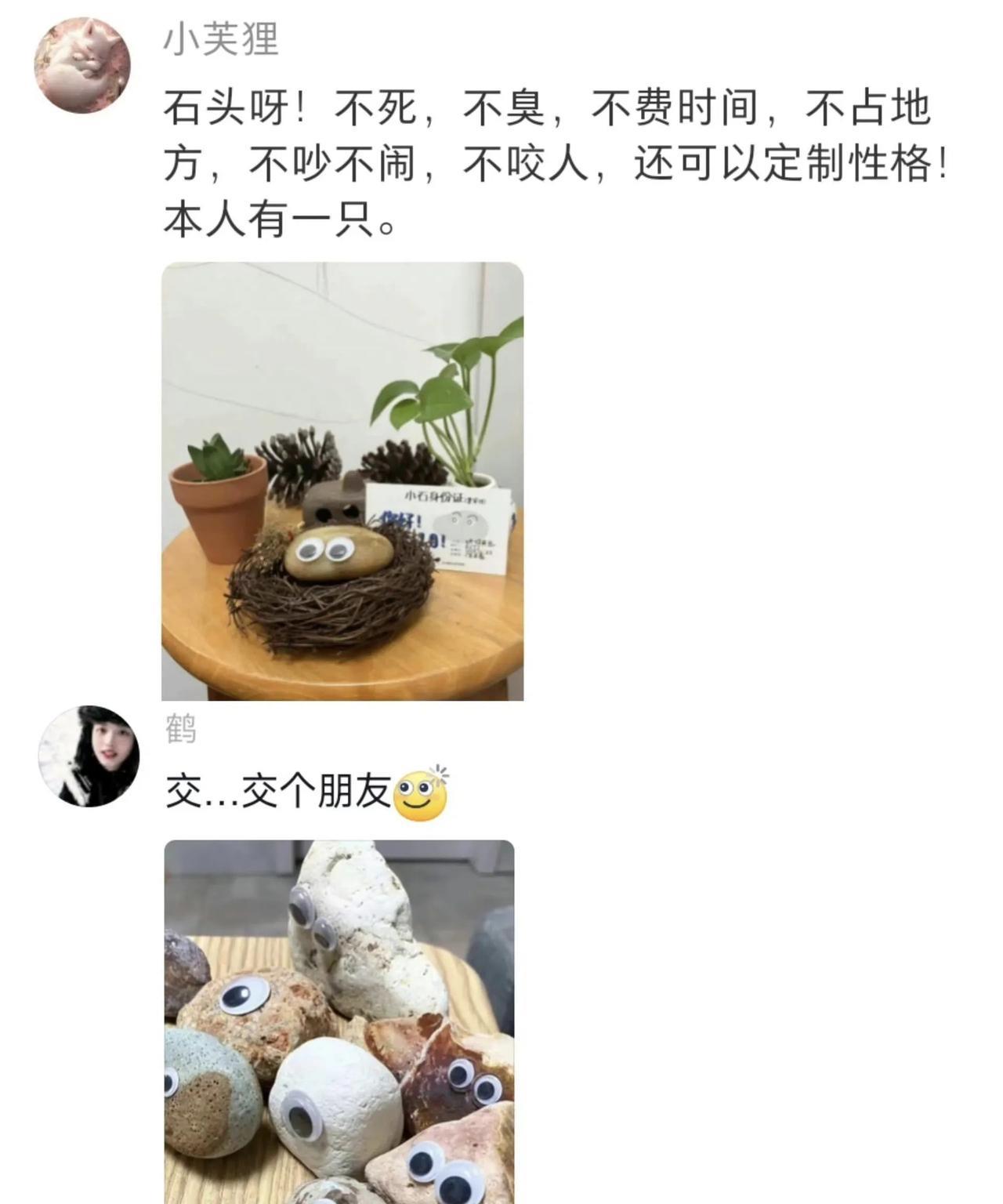 哇哈哈哈……我要被这届网友笑死！你们看看这些宠物，有一个正经的嘛！你们就说，有什