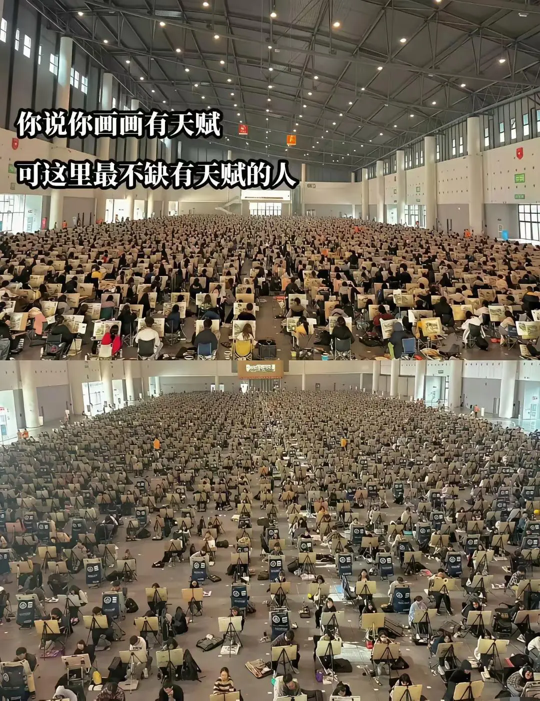 他们学有所成了，以后会做什么工作呢？

