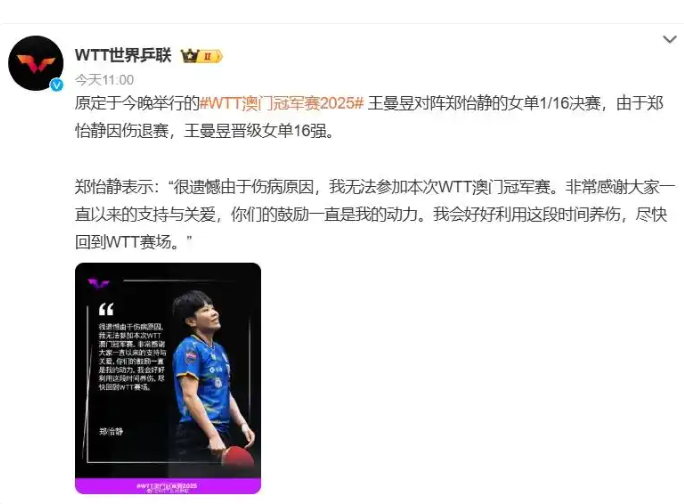 郑怡静退赛
