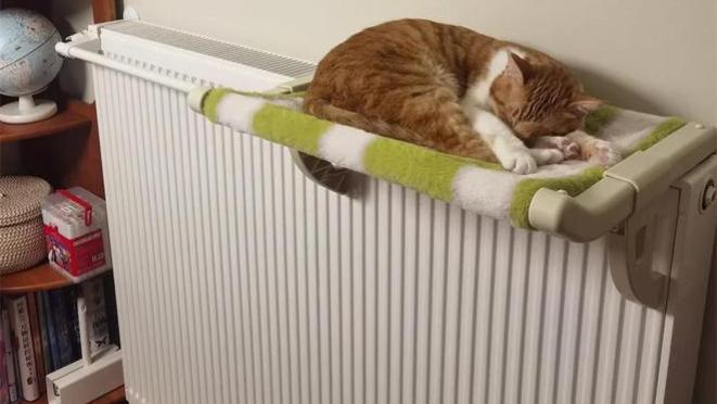 为什么坚持用暖气片？除了取暖外，竟还藏有这些的新用途！