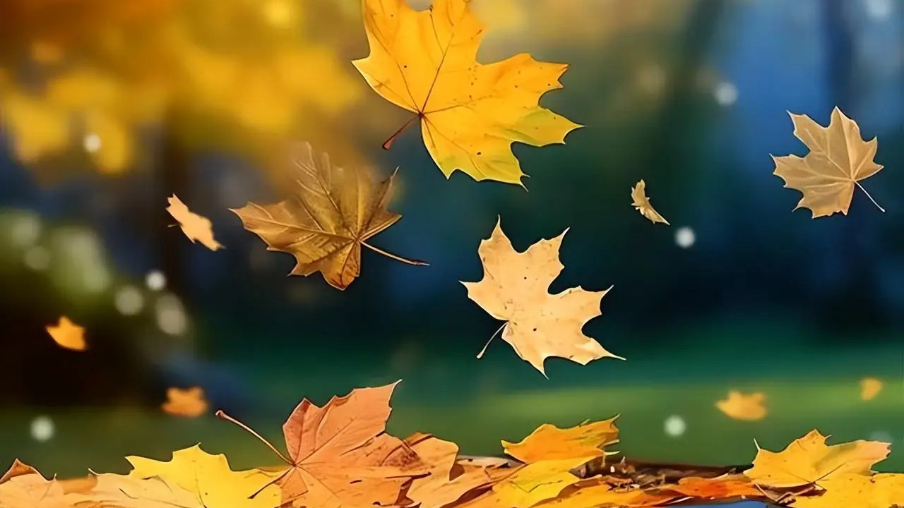 冲锋的骑士——我的骑手日记
