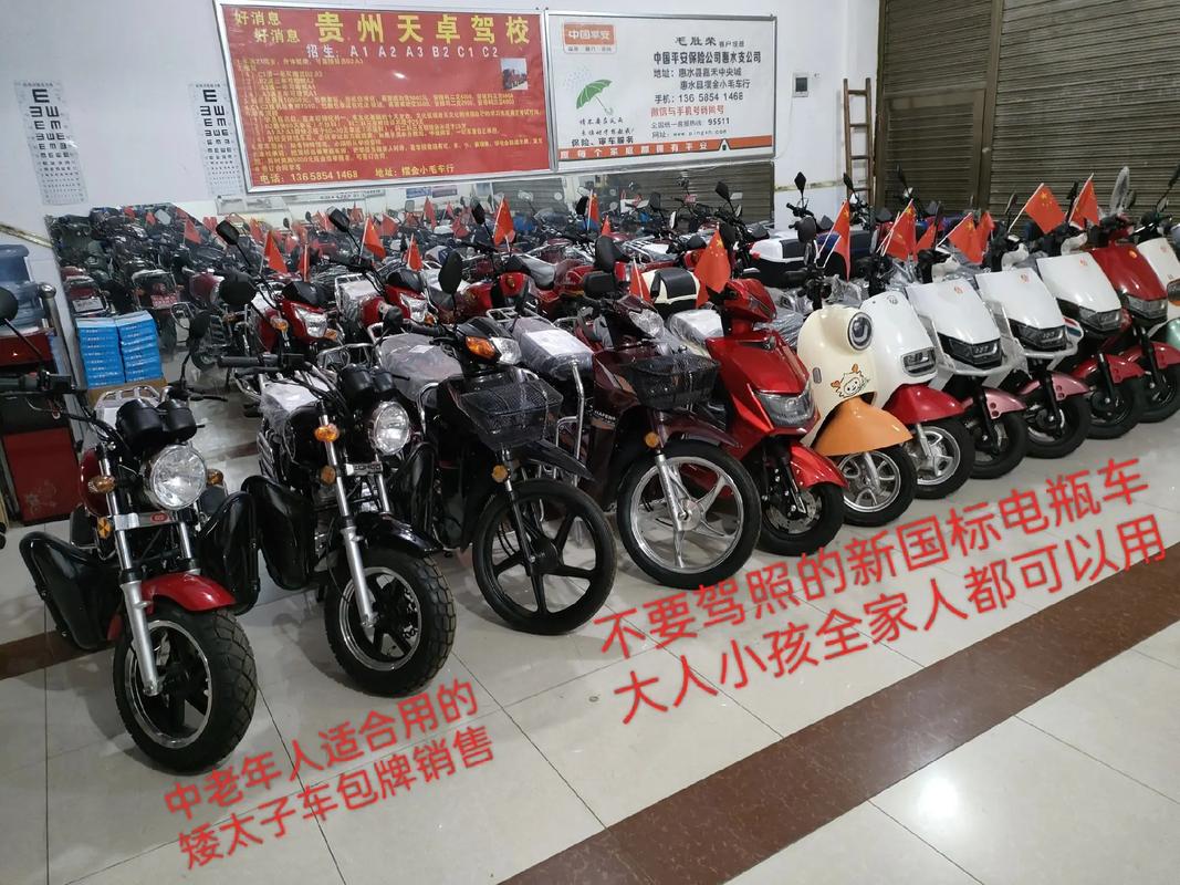 电动车上路必备证件