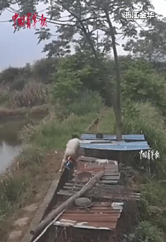 “这是上辈子拯救了银河系吧！”浙江金华，一女子喂狗的时候，突然一道闪电从天而降，