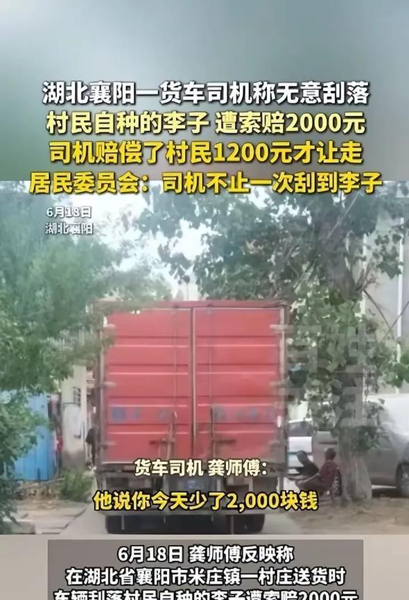 不给钱不让走！湖北襄阳，一货车司机在道路行驶时，因车身刮落了村民树上的李子，村民