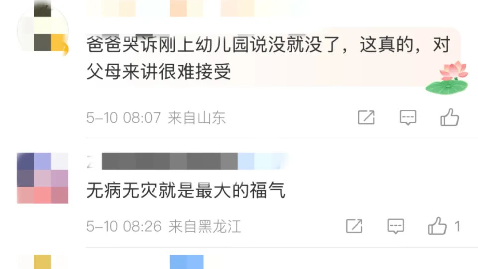 【突发悲剧】4岁萌娃遭蜂群围攻不治身亡！父亲哽咽回忆细节 当地紧急介入