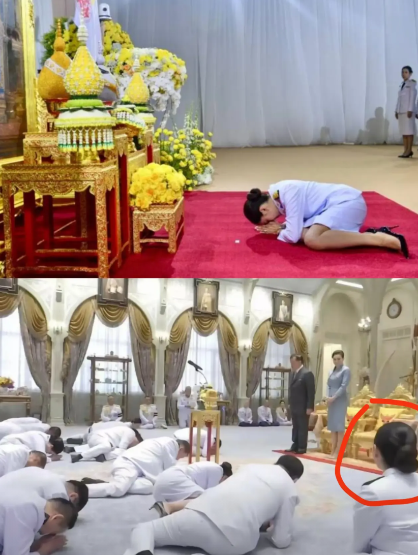 知道为什么泰王对佩通坦网开一面了吗

看看她今日宣誓时的极致表现
看看照片中的跪