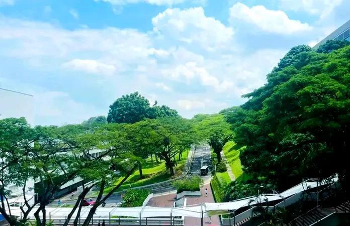 朋友儿子前年被211大学压线录取，现在说后悔让儿子报这个专业了。他儿子当初分不过