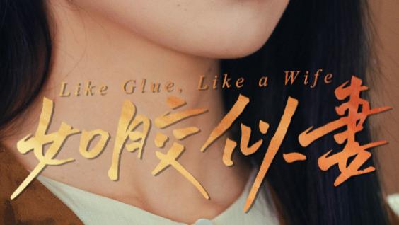 短剧《如胶似妻》情似胶漆，共谱白首之歌--在线短剧如胶似妻（50集）王艳秋